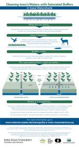 SaturatedBuffer_infographic.fw